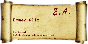 Emmer Aliz névjegykártya