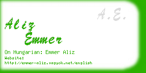 aliz emmer business card